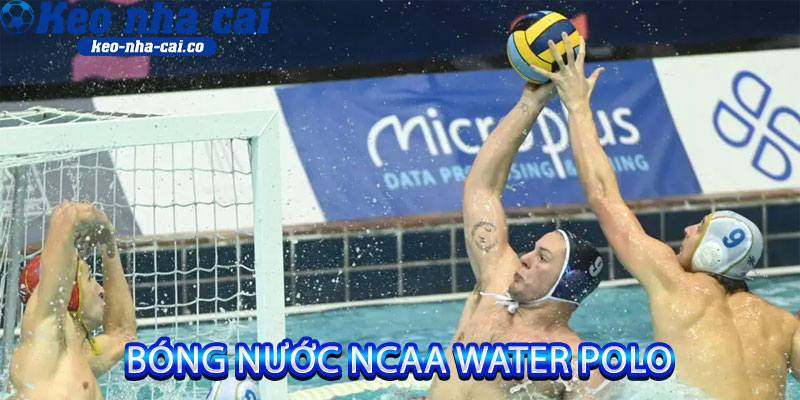 Bóng Nước NCAA Water Polo