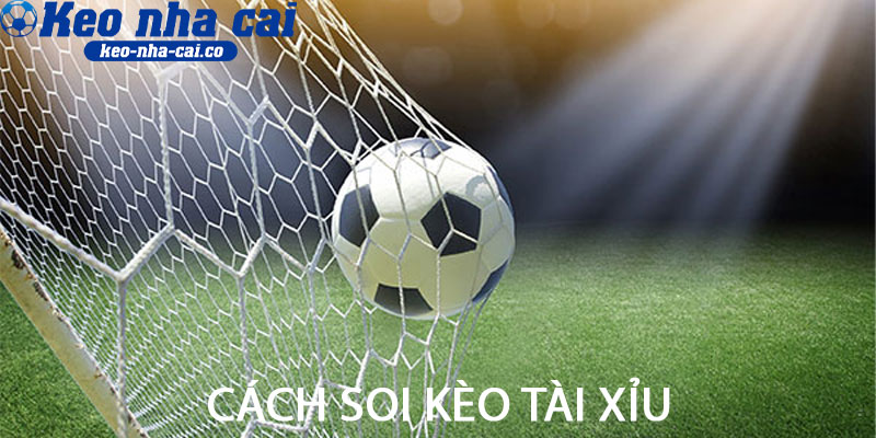 Cách soi kèo tài xỉu