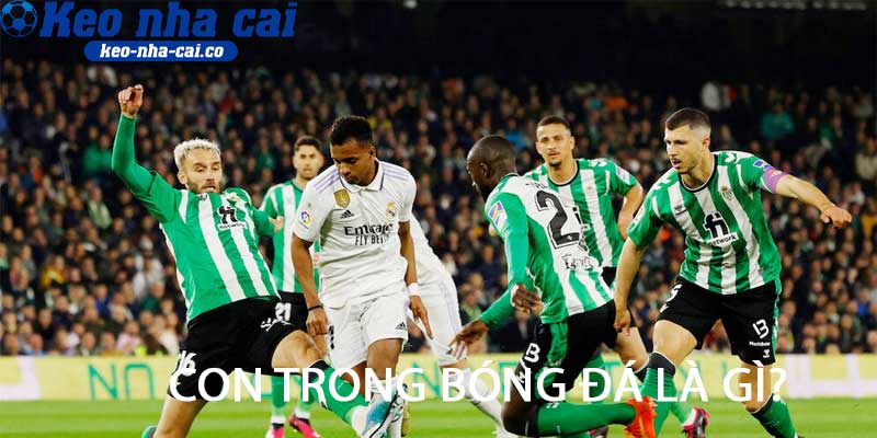 Con trong bóng đá là gì