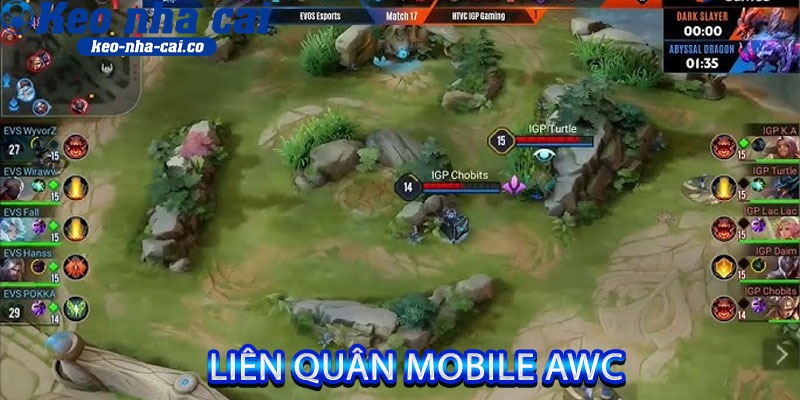 Liên Quân Mobile AWC