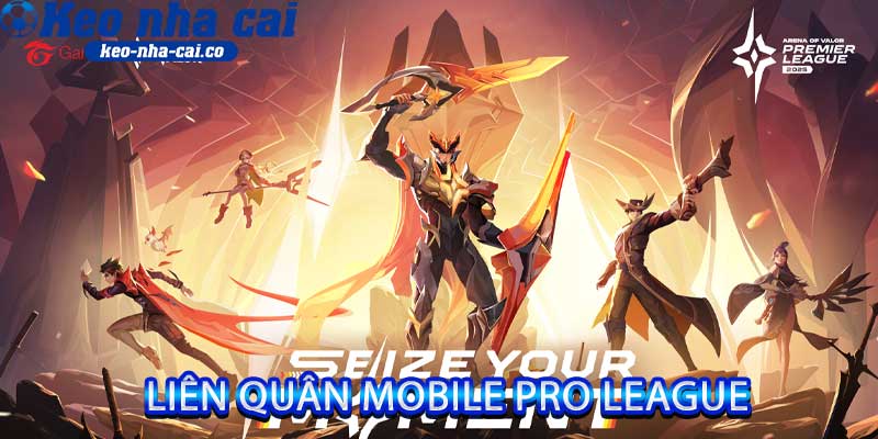 Liên Quân Mobile Pro League