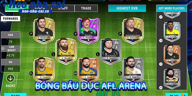 bóng bầu dục AFL Arena