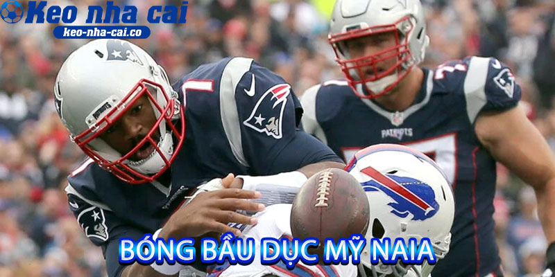 bóng bầu dục Mỹ NAIA