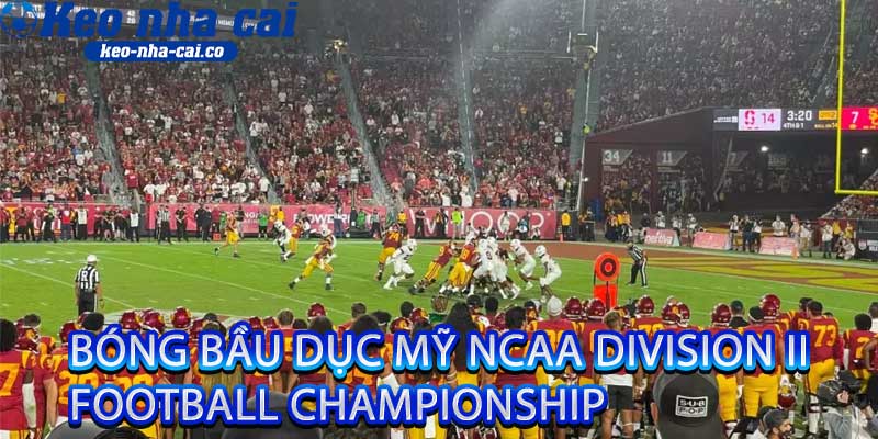 bóng bầu dục Mỹ NCAA Division II Football Championship