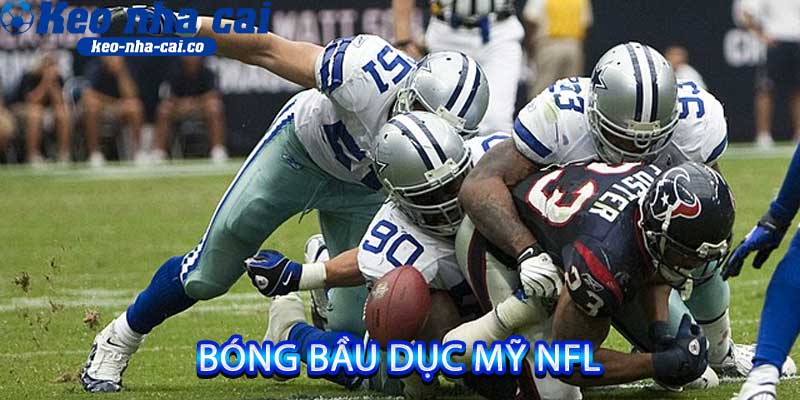 bóng bầu dục Mỹ NFL