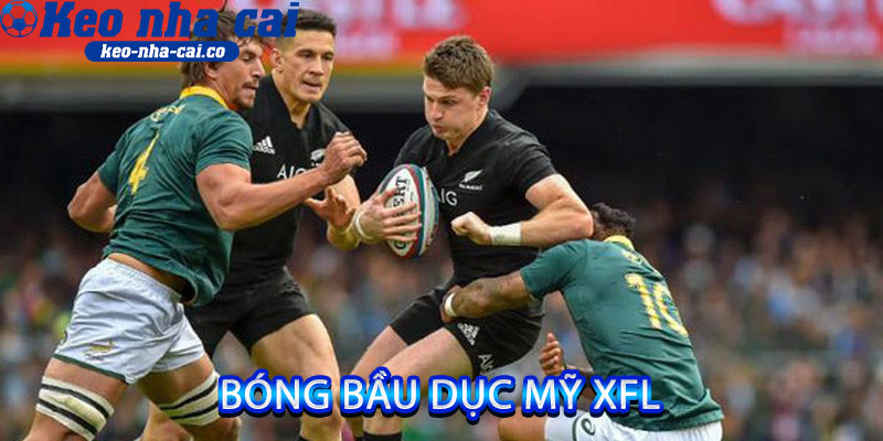 bóng bầu dục Mỹ XFL