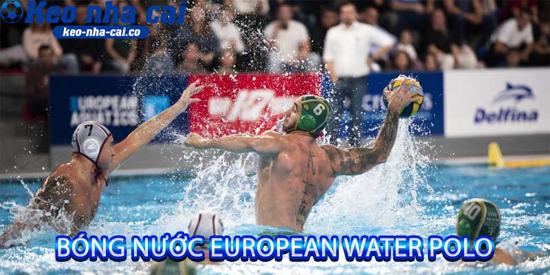 bóng nước European Water Polo