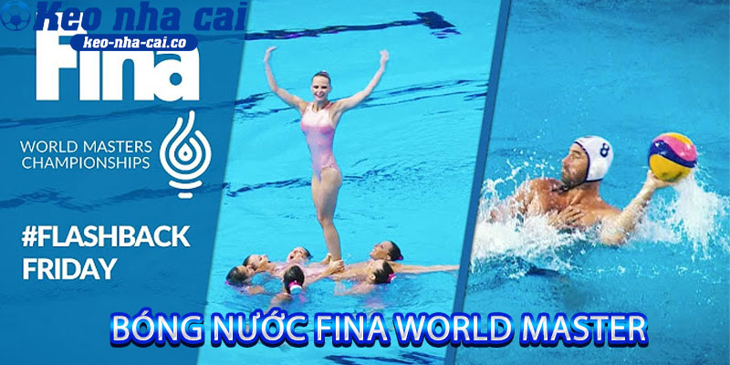 bóng nước FINA World Master