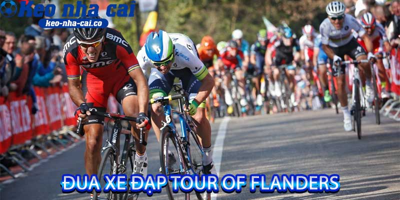 đua xe đạp Tour of Flanders