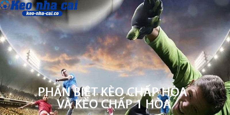 phân biệt kèo chấp hòa và kèo chấp 1 hòa