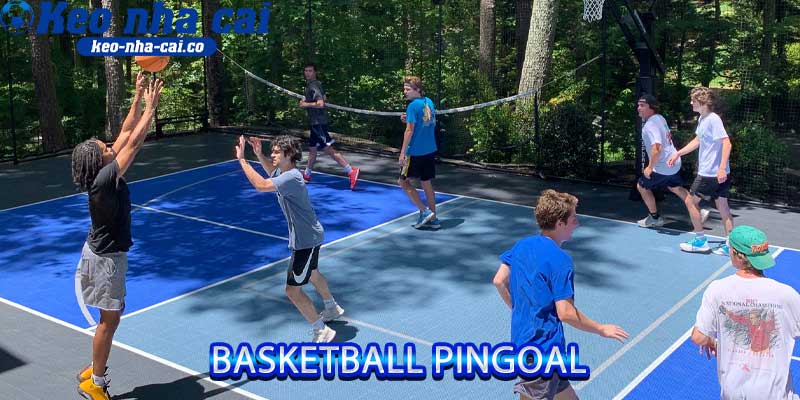 Basketball Pingoal