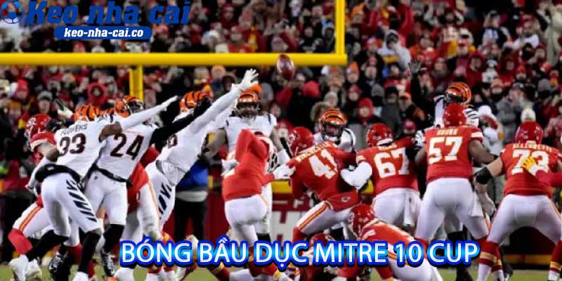 Bóng Bầu Dục Mitre 10 Cup