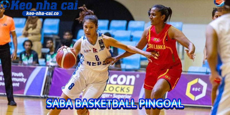 Saba Basketball Pingoal