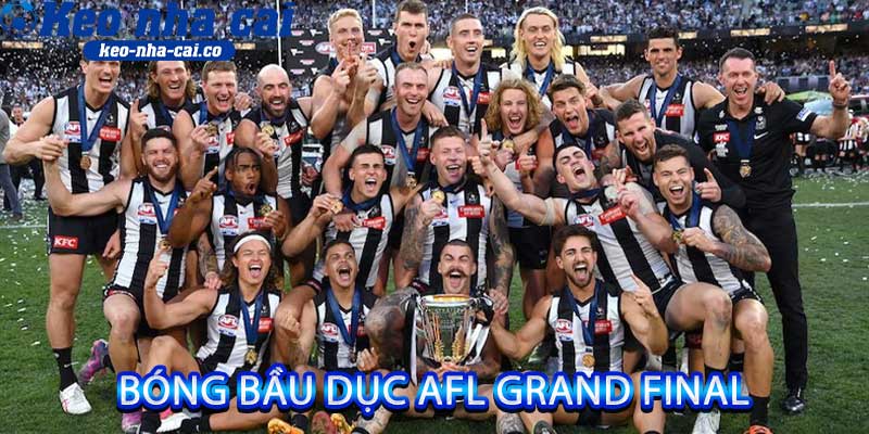bóng bầu dục AFL Grand Final