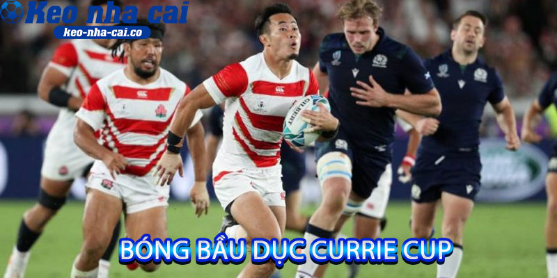 bóng bầu dục Currie Cup