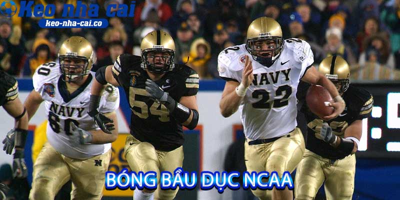 bóng bầu dục NCAA