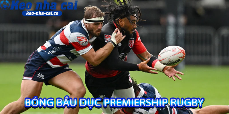bóng bầu dục Premiership Rugby