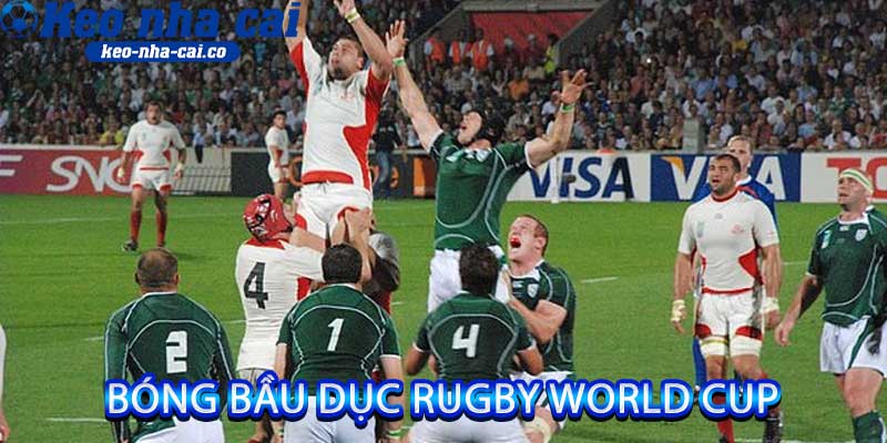 bóng bầu dục Rugby World Cup